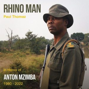 RHINO MAN song by Paul Thomaz