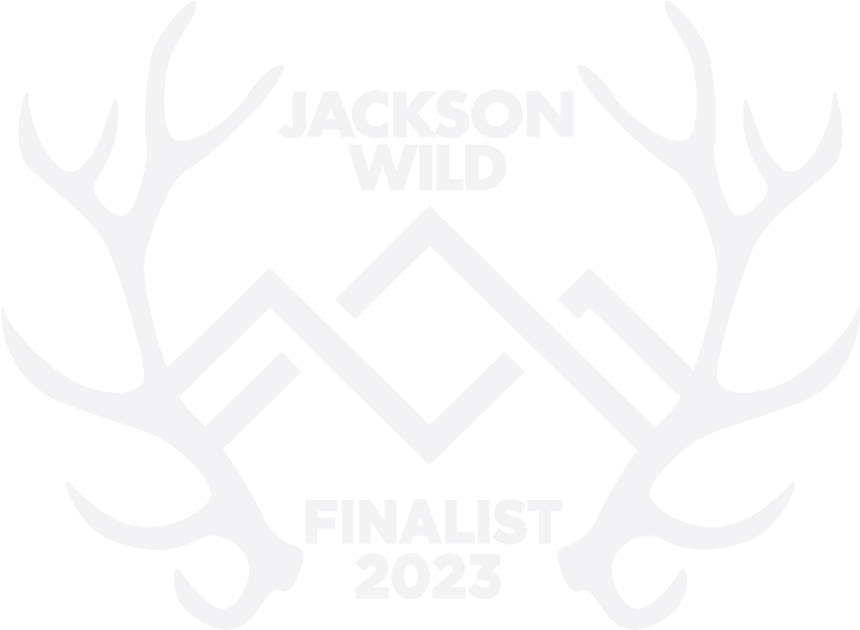 Jackson Wild Media Awards