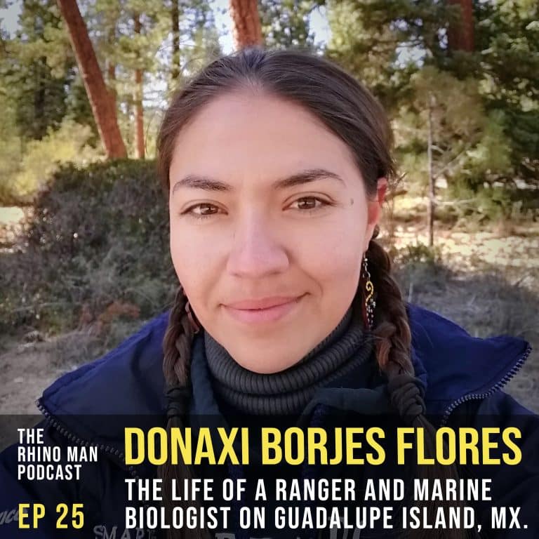 Donaxi Borjes Flores