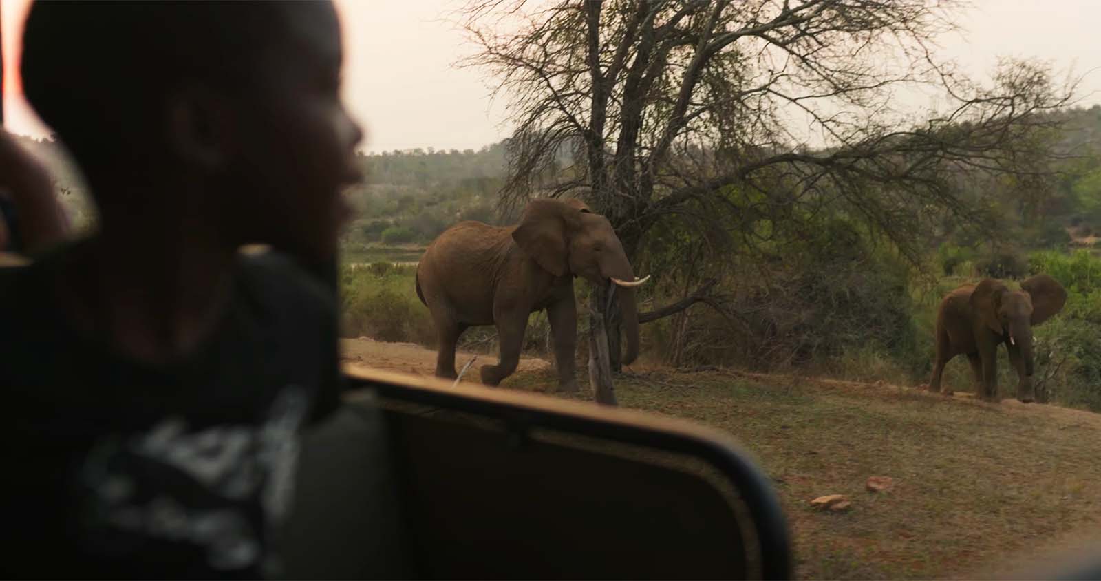Kids on game drive Kids on game drive