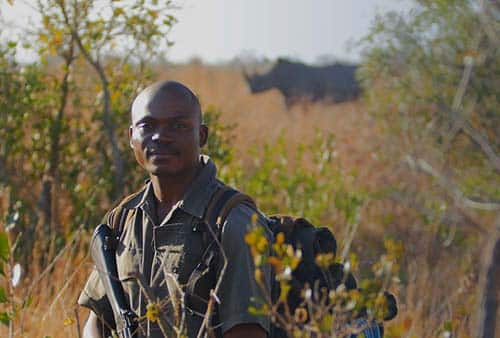 Ranger guarding a rhino