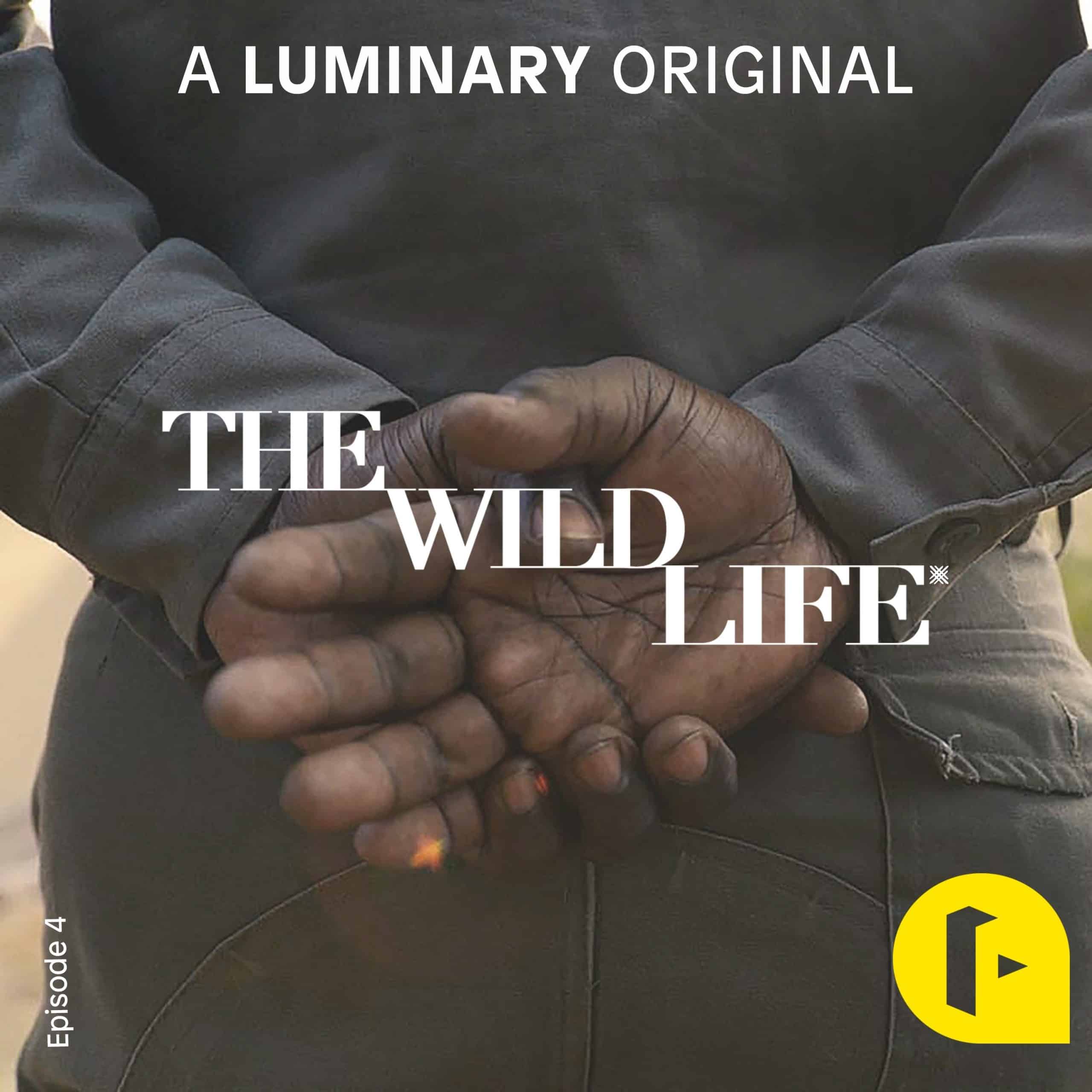 Pull The Thread: The Wild Life – Ep 4 Incorruptible