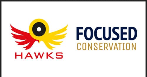 Hawks and Focused Conservation
