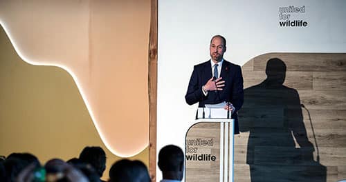Prince William at UfW Cape Town